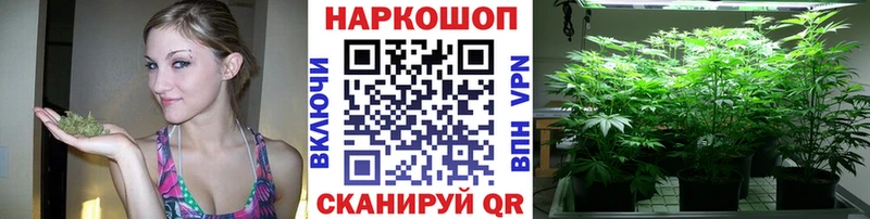 Купить наркотики цена Нефтекумск А ПВП  Мефедрон  Амфетамин  ГАШ 