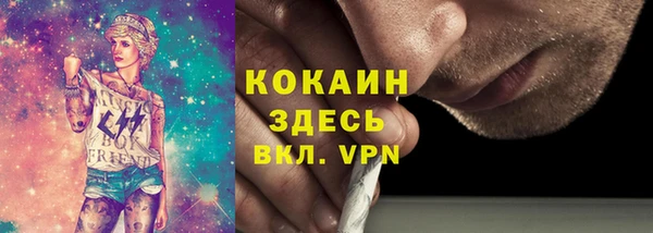 хмурый Алзамай