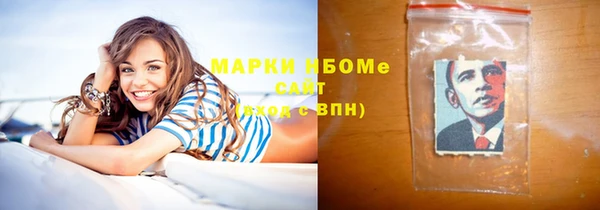 хмурый Алзамай