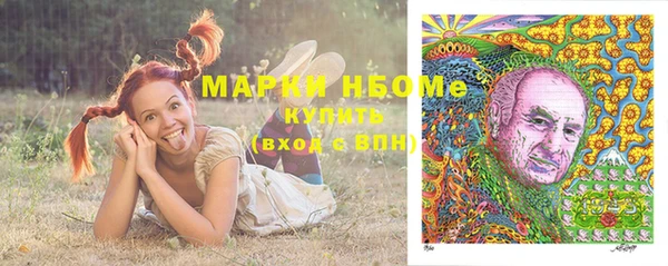 дурь Алексин