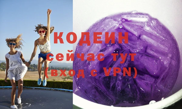 дурь Алексин