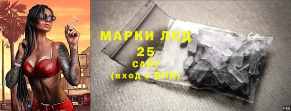хмурый Алзамай